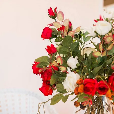 Vindobona Guest house Mali Losinj